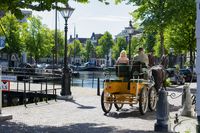 Paard met wagen, een mooi straatbeeld in de binnenstad van Schiedam.